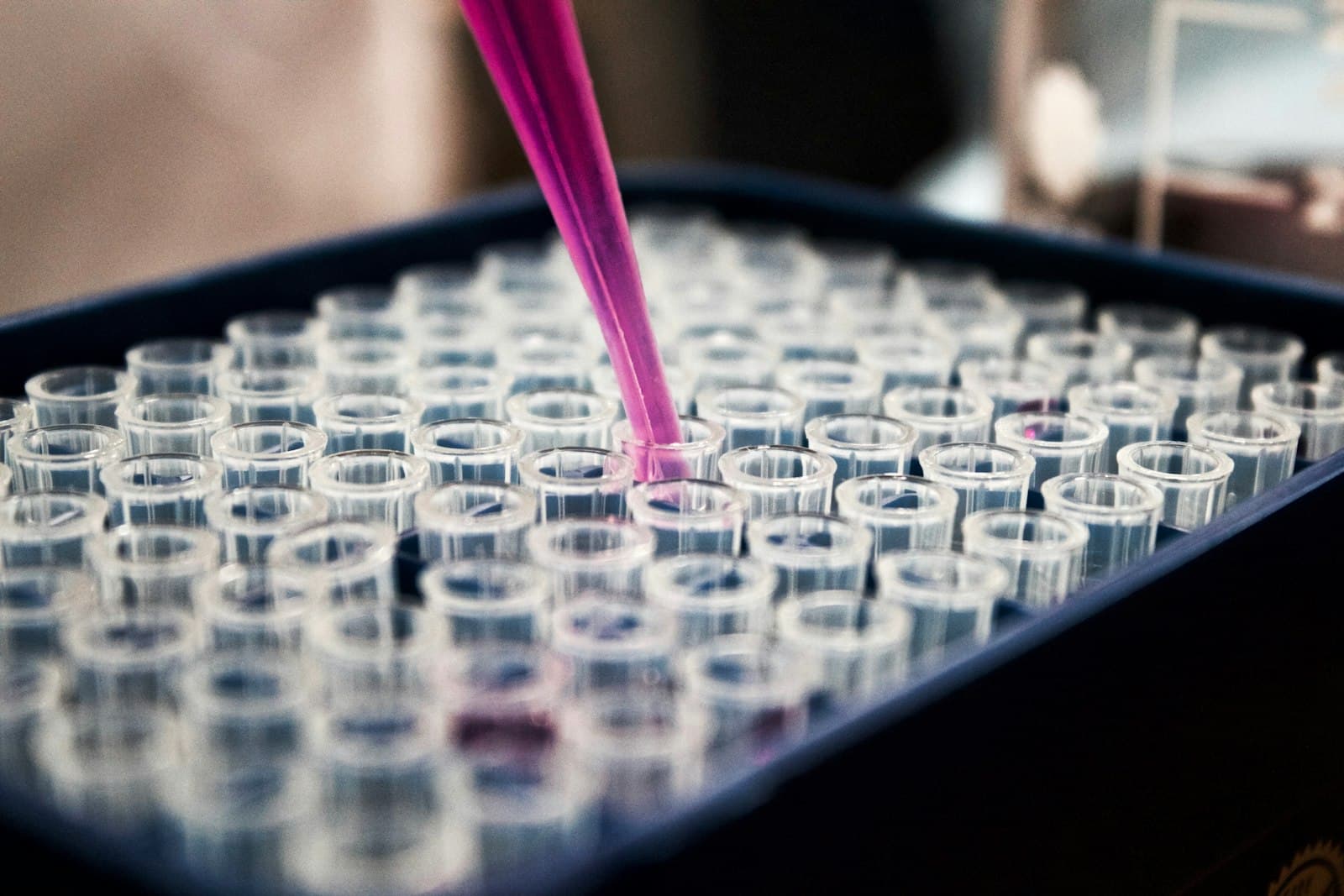 Pipette dosing a pink liquid into a tray of laboratory tubes